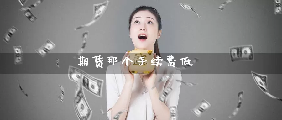 期货那个手续费低_https://www.njhshj.com_恒指直播_第1张