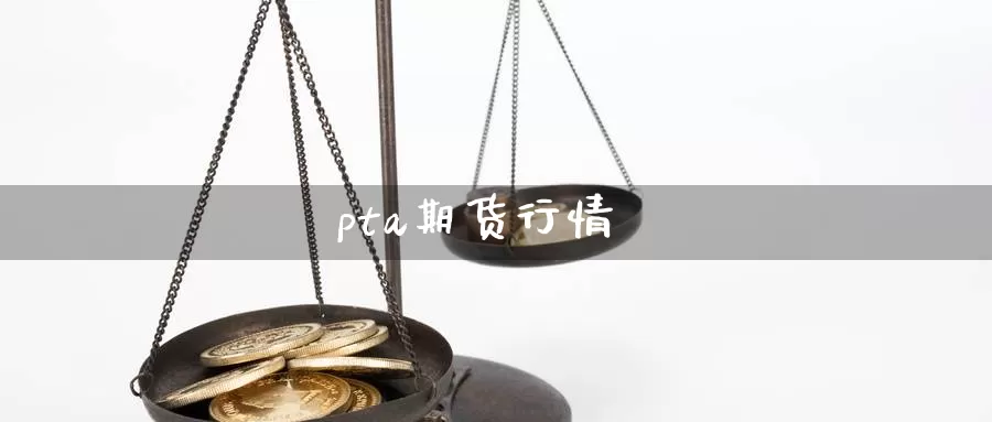 pta期货行情_https://www.njhshj.com_国内期货_第1张