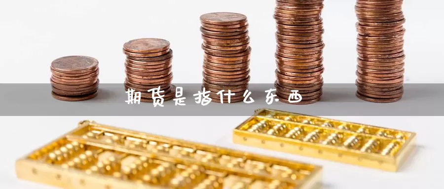 期货是指什么东西_https://www.njhshj.com_期货开户_第1张