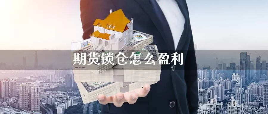 期货锁仓怎么盈利_https://www.njhshj.com_期货直播_第1张