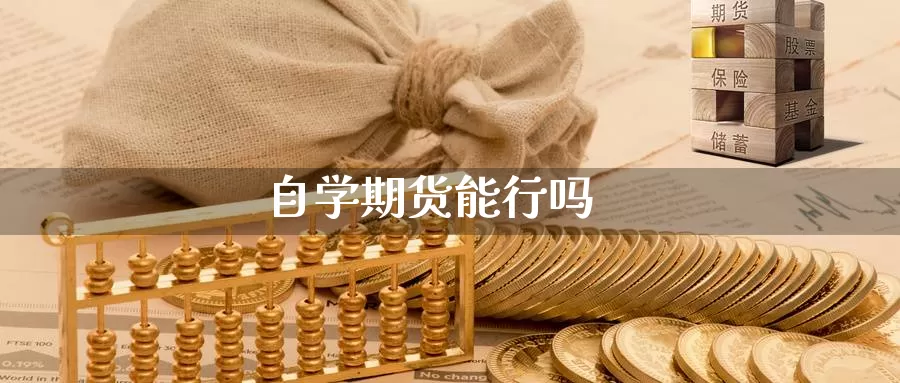 自学期货能行吗_https://www.njhshj.com_国内期货_第1张