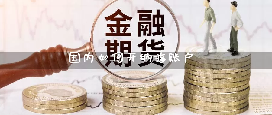 国内如何开纳指账户_https://www.njhshj.com_恒指期货_第1张