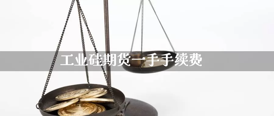 工业硅期货一手手续费_https://www.njhshj.com_恒指期货_第1张