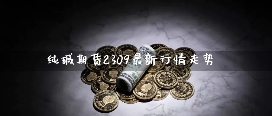 纯碱期货2309最新行情走势_https://www.njhshj.com_恒指期货_第1张