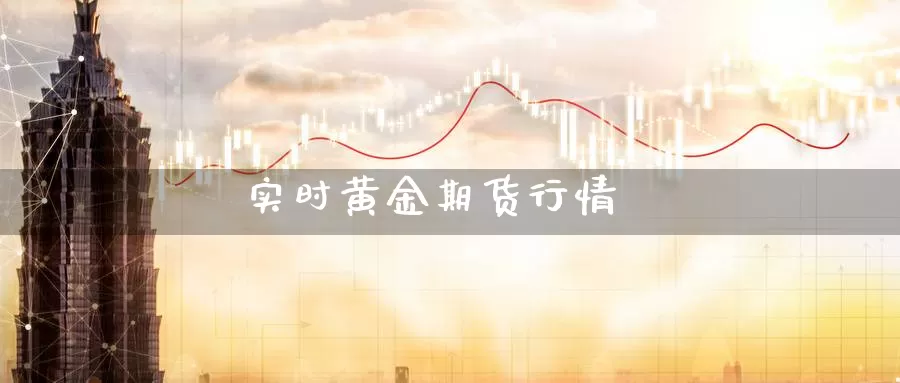 实时黄金期货行情_https://www.njhshj.com_国际期货_第1张